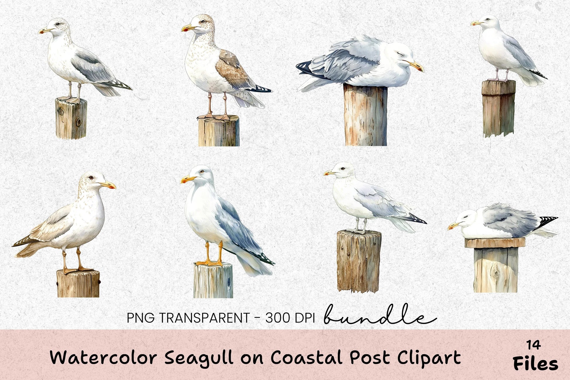 Seagull on Coastal Post Clipart Bundle - CraftNest - Digital Crafting and Art