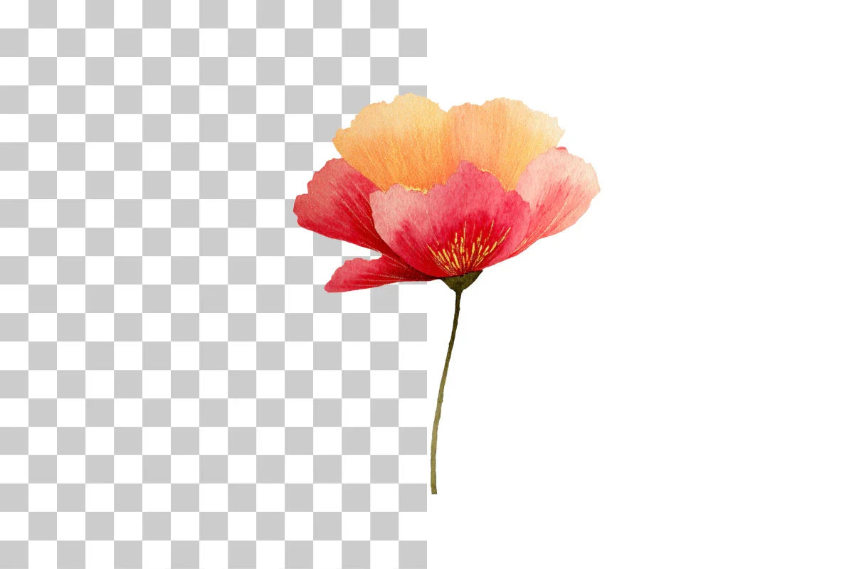 Red Poppy Clipart Bundle - Etb 403 - CraftNest - Digital Crafting and Art