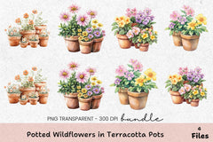 Potted Wildflowers in Terracotta Pots Clipart Bundle - CraftNest - Digital Crafting and Art