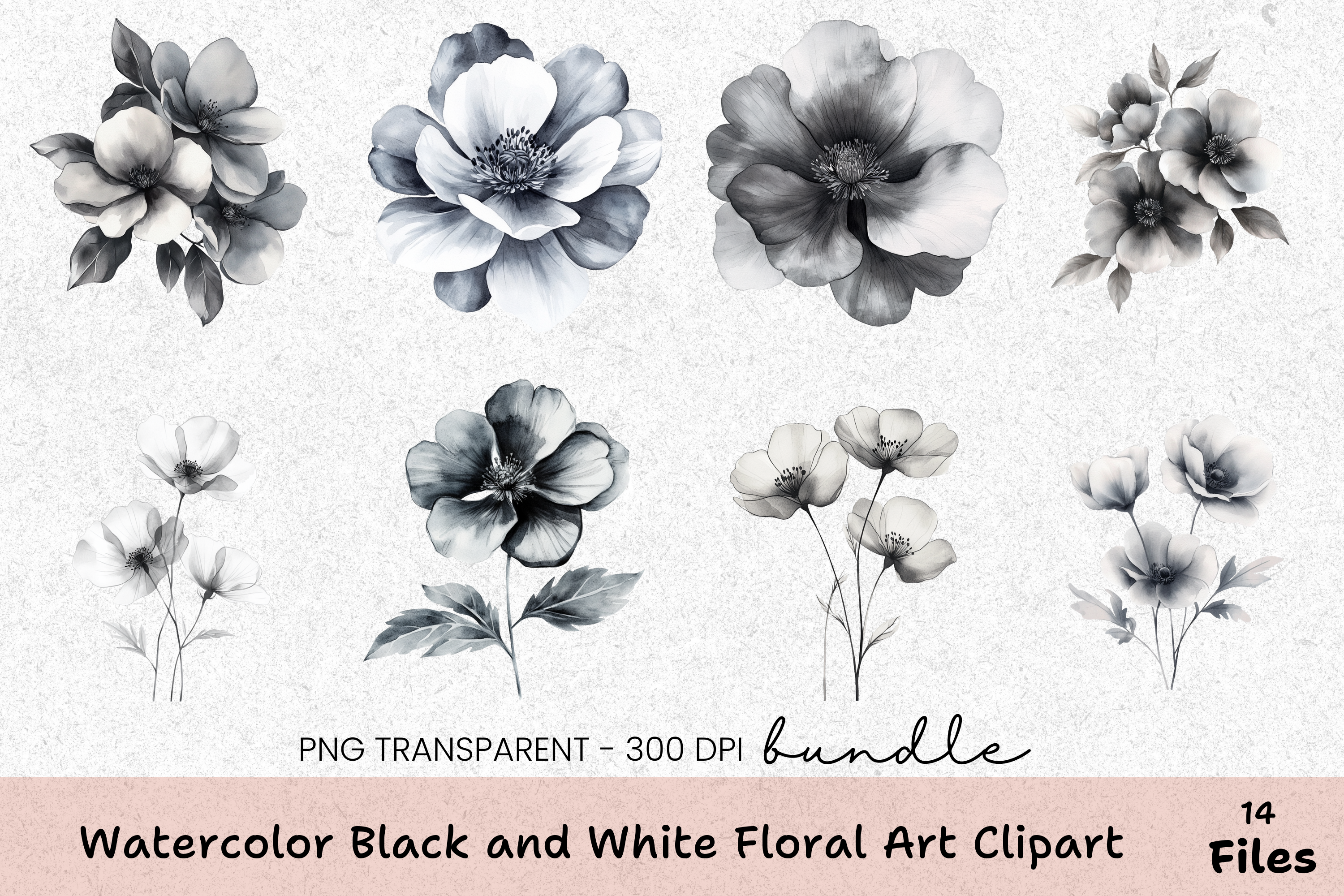 Black and White Floral Art Clipart Bundle