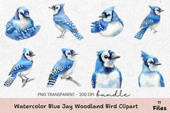 Blue Jay Woodland Bird Clipart Bundle - CraftNest - Digital Crafting and Art
