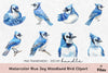 Blue Jay Woodland Bird Clipart Bundle