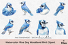 Blue Jay Woodland Bird Clipart Bundle