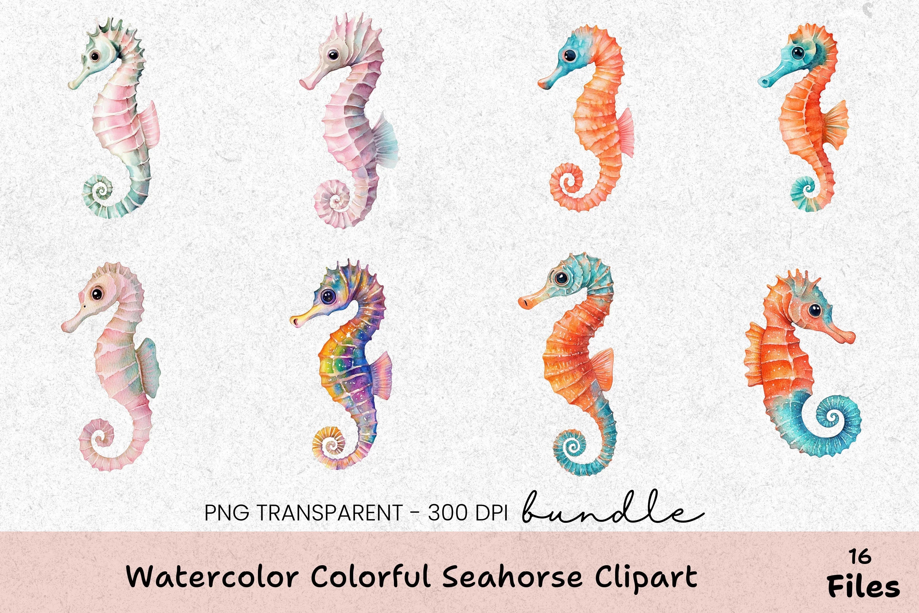 Colorful Seahorse Clipart Bundle - CraftNest - Digital Crafting and Art