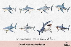 Shark Ocean Predator Clipart Bundle - CraftNest - Digital Crafting and Art