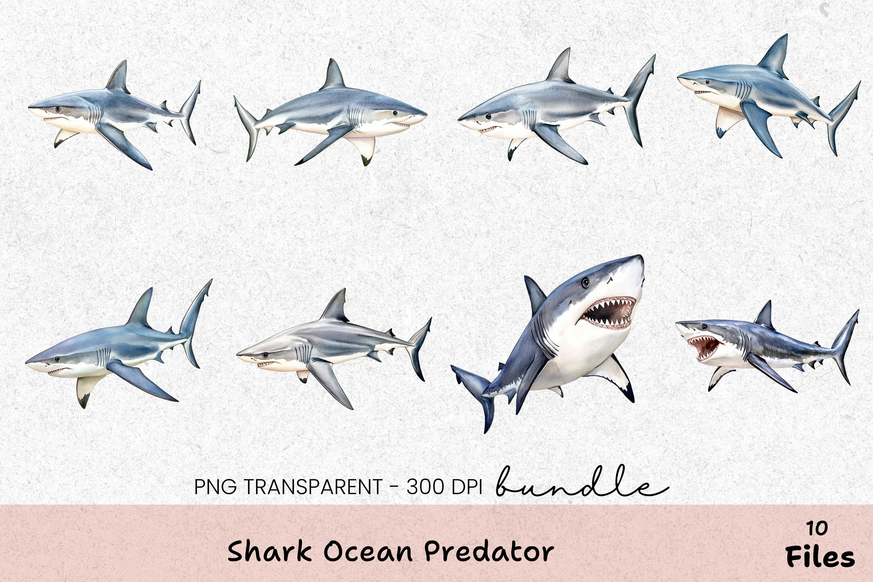 Shark Ocean Predator Clipart Bundle - CraftNest - Digital Crafting and Art