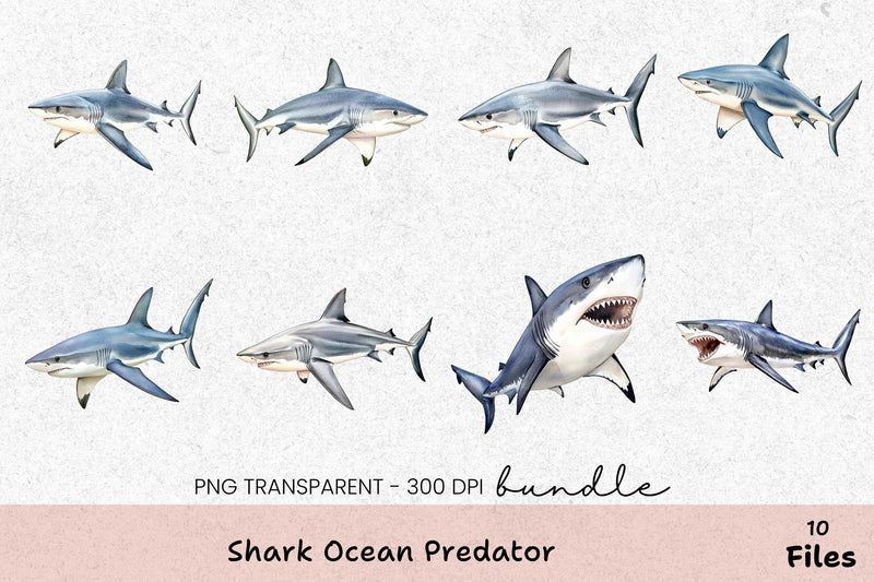 Shark Ocean Predator Clipart Bundle - CraftNest - Digital Crafting and Art