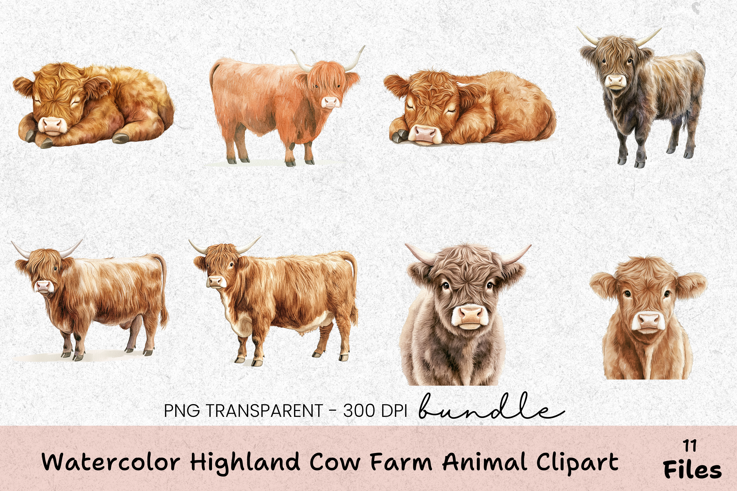 Highland Cow Farm Animal Clipart Bundle