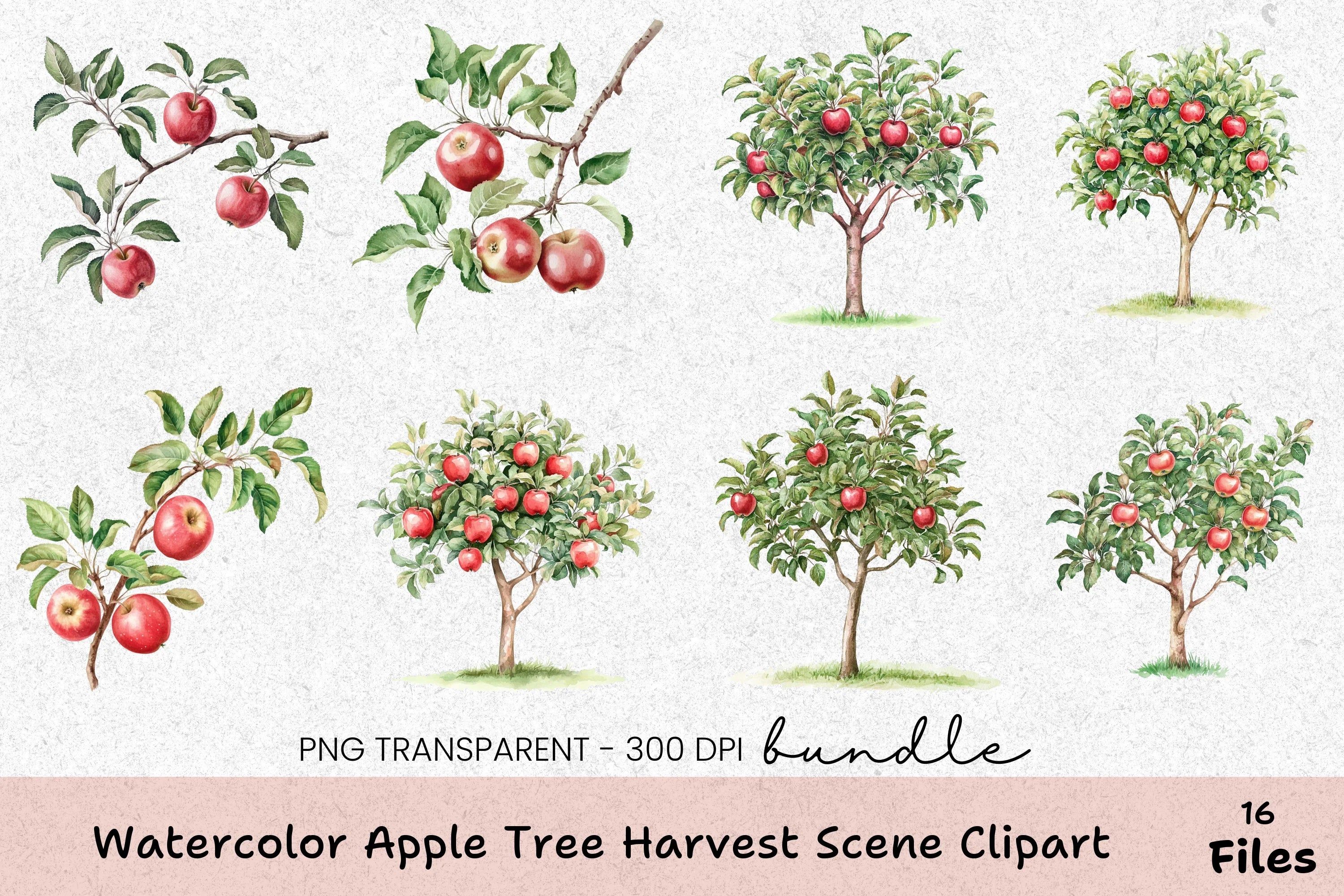 Apple Tree Harvest Scene Clipart Bundle - CraftNest - Digital Crafting and Art