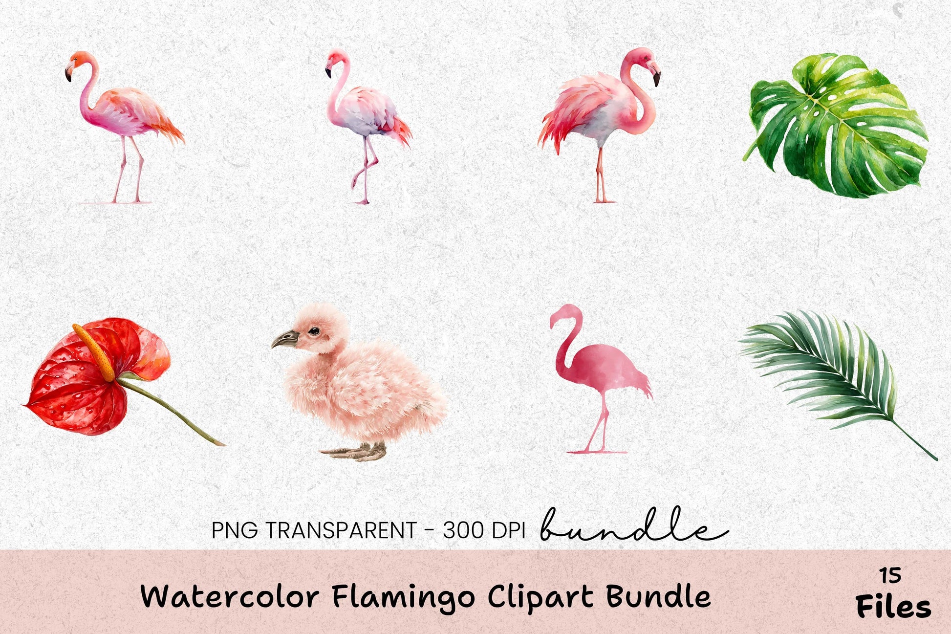 Flamingo Clipart Bundle - Etb197 - CraftNest - Digital Crafting and Art