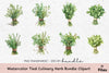 Tied Culinary Herb Clipart Bundle
