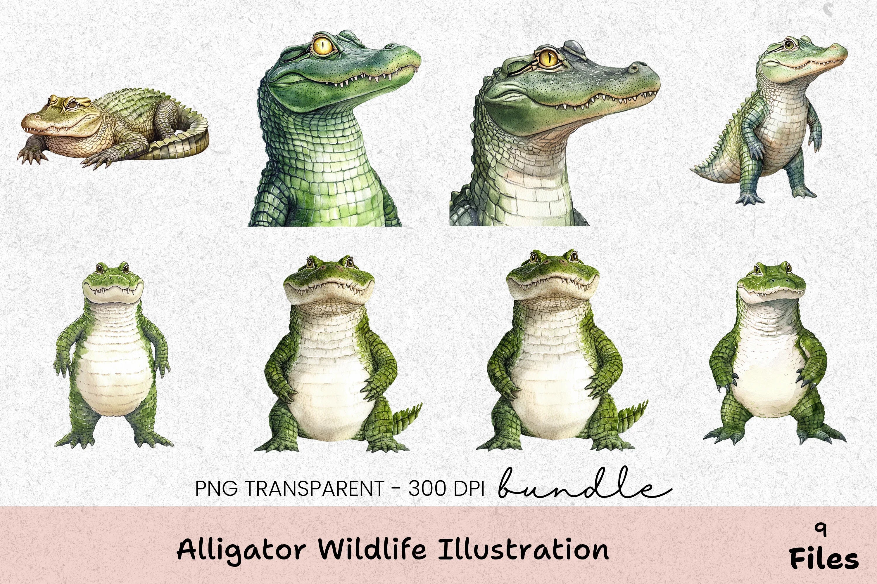 Alligator Wildlife Illustration Clipart Bundle - CraftNest - Digital Crafting and Art