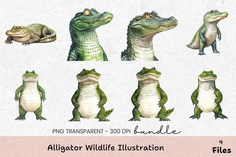 Alligator Wildlife Illustration Clipart Bundle - CraftNest - Digital Crafting and Art