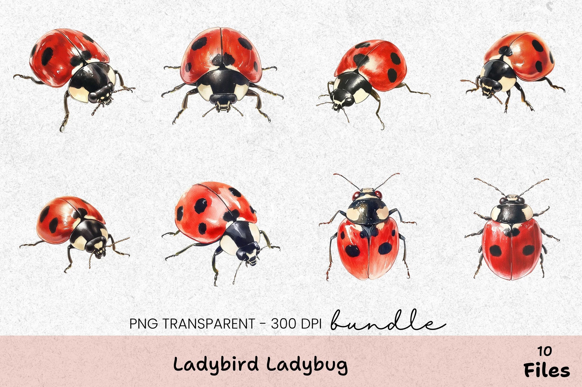 Ladybird Ladybug Clipart Bundle - CraftNest - Digital Crafting and Art