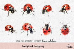 Ladybird Ladybug Clipart Bundle - CraftNest - Digital Crafting and Art