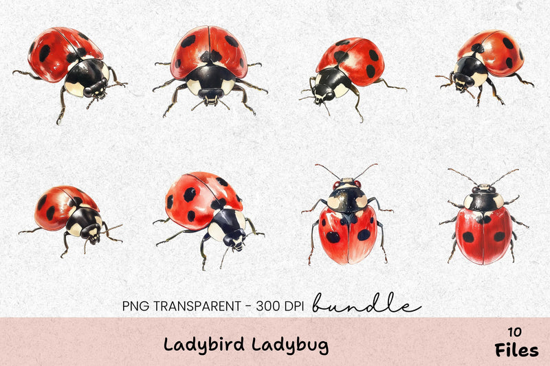 Ladybird Ladybug Clipart Bundle - CraftNest - Digital Crafting and Art