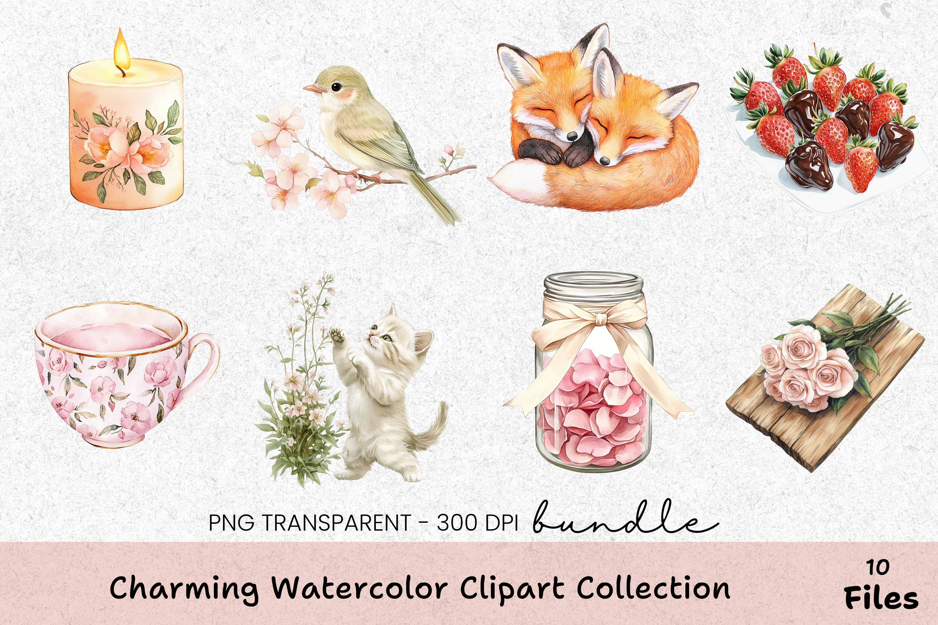 Charming Clipart Bundle Collection
