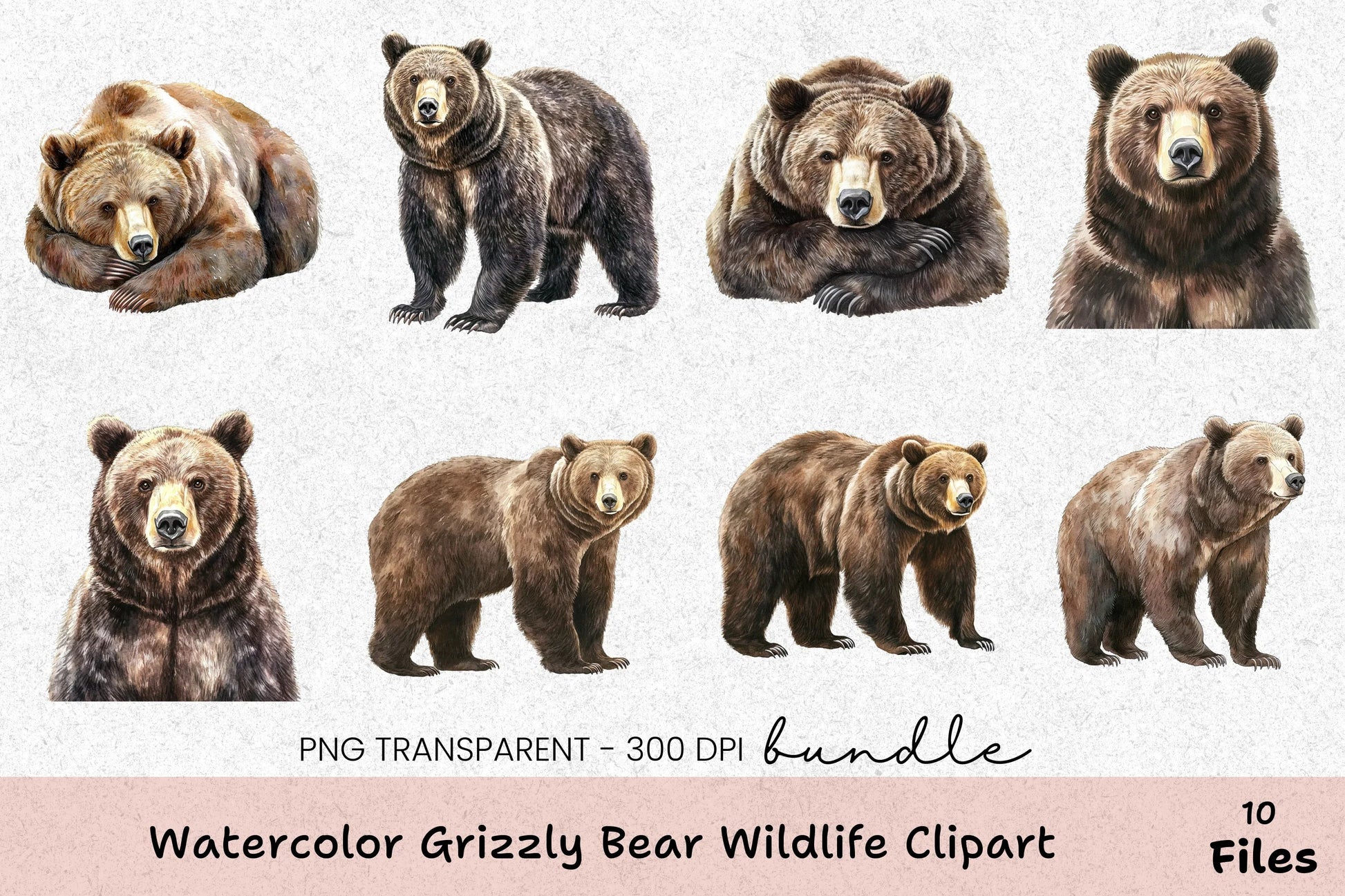 Grizzly Bear Wildlife Clipart Bundle - CraftNest - Digital Crafting and Art