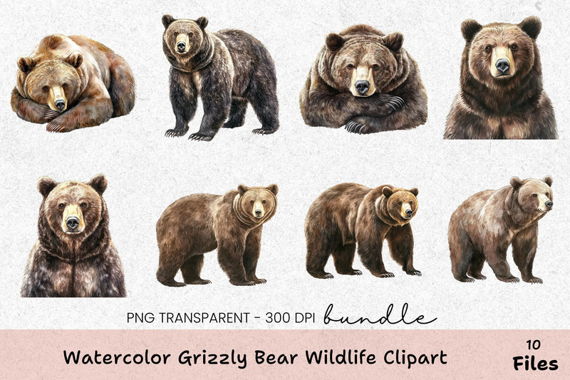 Grizzly Bear Wildlife Clipart Bundle - CraftNest - Digital Crafting and Art