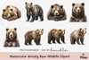 Grizzly Bear Wildlife Clipart Bundle