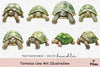 Tortoise Line Art Illustration Clipart Bundle