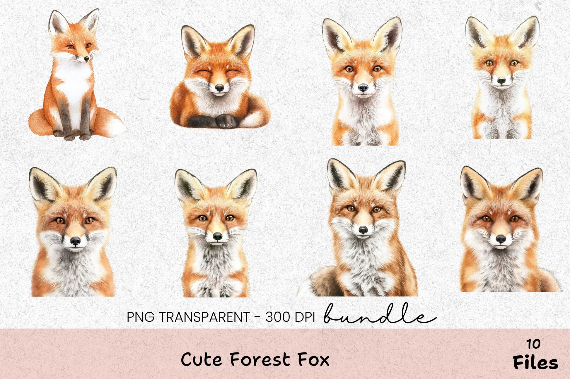 Cute Forest Fox Clipart Bundle - CraftNest - Digital Crafting and Art
