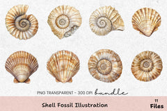 Shell Fossil Illustration Clipart Bundle - CraftNest - Digital Crafting and Art