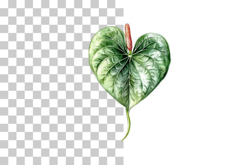 Tropical Leaves & Plants Clipart Bundle - CraftNest - Digital Crafting and Art