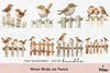 Wren Birds on Fence Clipart Bundle
