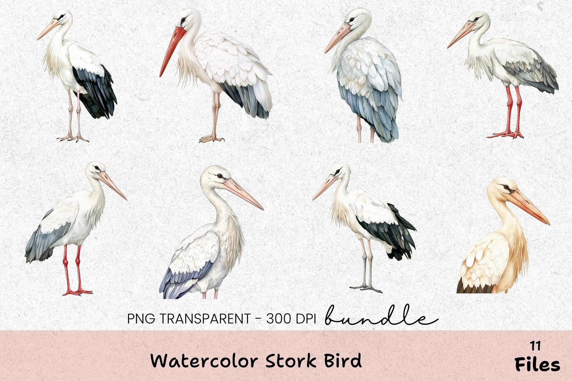 Stork Bird Clipart Bundle - CraftNest - Digital Crafting and Art