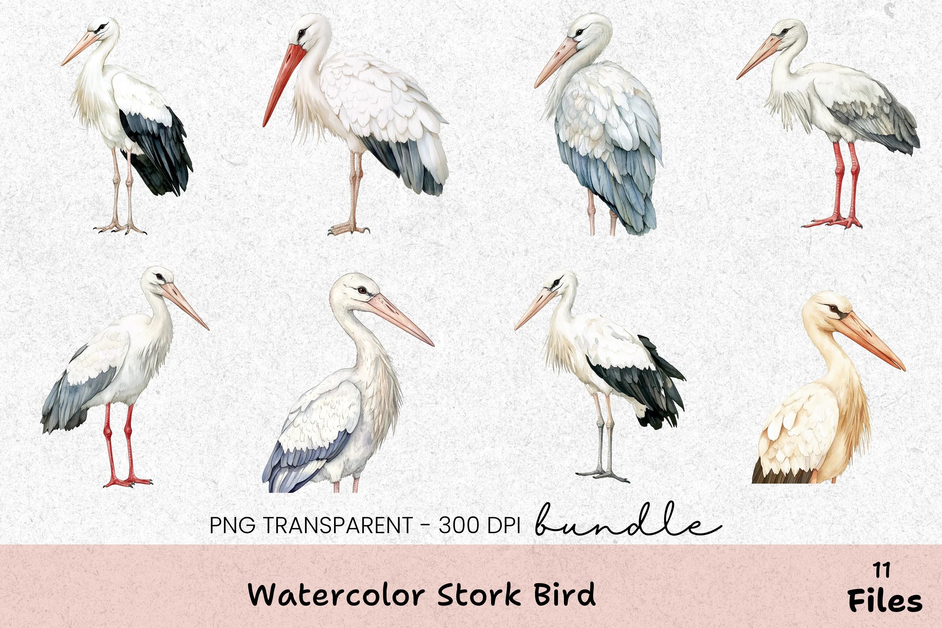 Stork Bird Clipart Bundle - CraftNest - Digital Crafting and Art