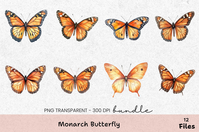 Monarch Butterfly Clipart Bundle - CraftNest - Digital Crafting and Art