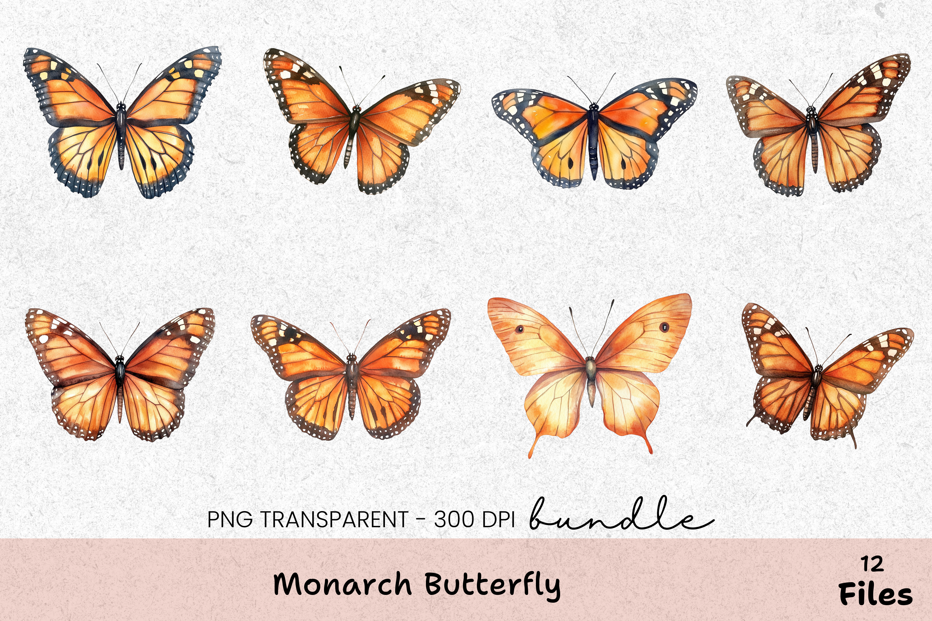 Monarch Butterfly Clipart Bundle