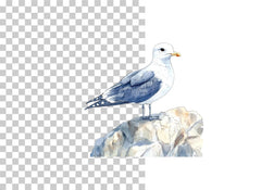 Seagulls Nesting on Cliffs Clipart Bundle - CraftNest - Digital Crafting and Art