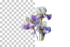 Iris Clipart Bundle: 400 Unique Designs - CraftNest - Digital Crafting and Art