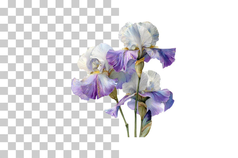 Iris Clipart Bundle: 400 Unique Designs - CraftNest - Digital Crafting and Art