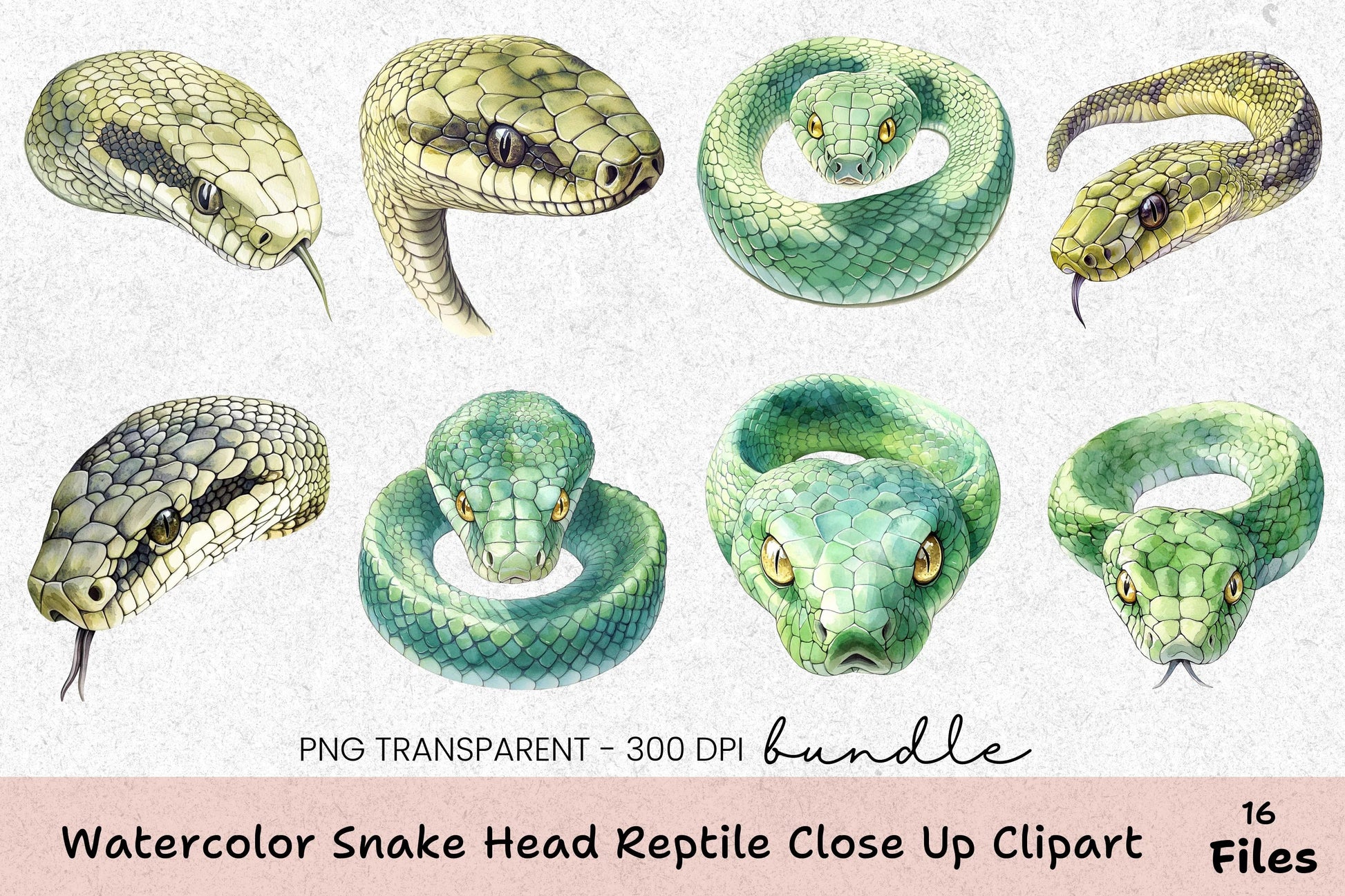 Snake Head Reptile Close-Up Clipart Bundle - CraftNest - Digital Crafting and Art