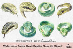 Snake Head Reptile Close-Up Clipart Bundle - CraftNest - Digital Crafting and Art