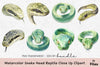 Snake Head Reptile Close-Up Clipart Bundle