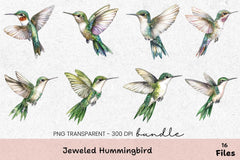 Jeweled Hummingbird Clipart Bundle - CraftNest - Digital Crafting and Art