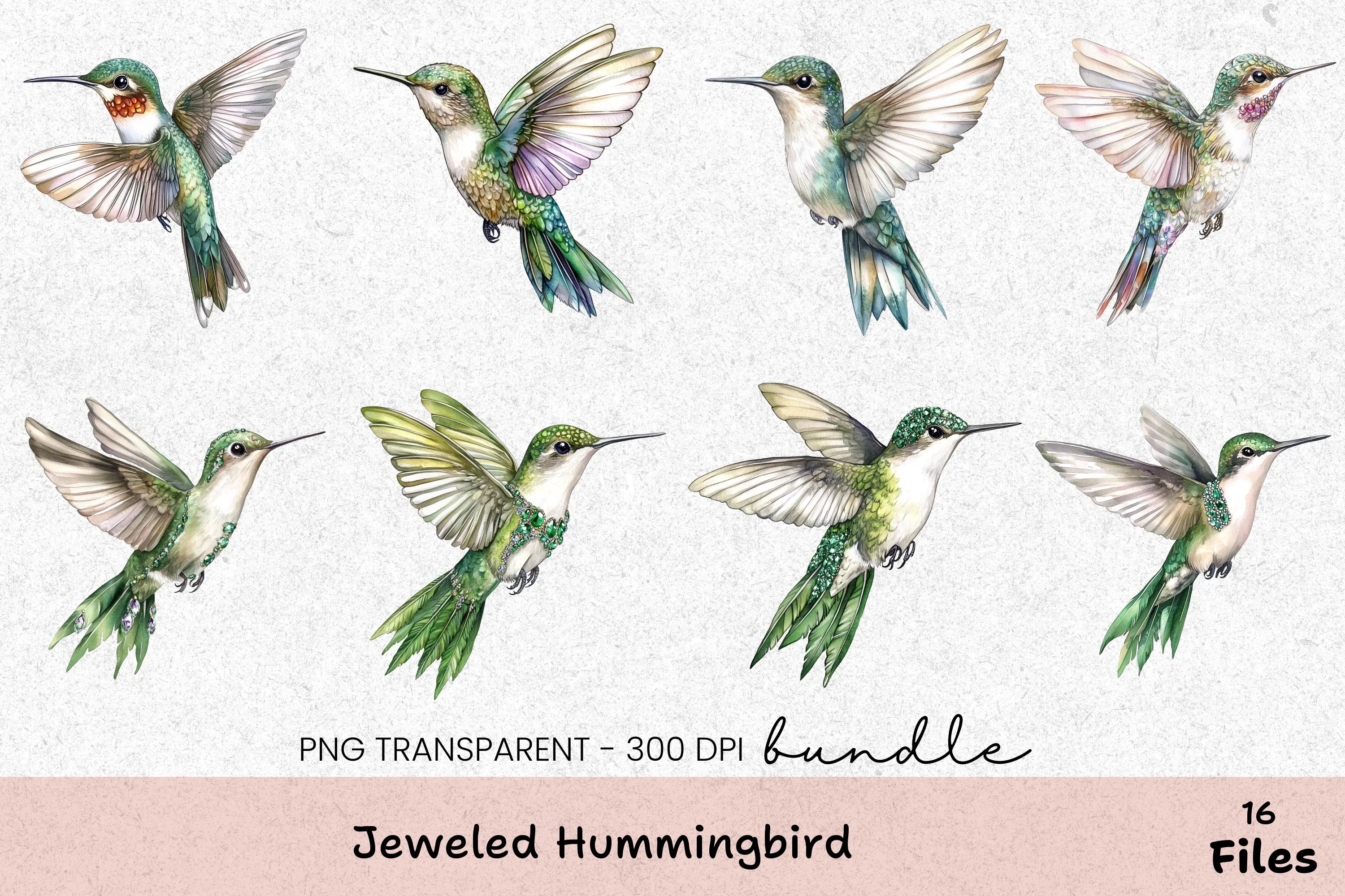 Jeweled Hummingbird Clipart Bundle - CraftNest - Digital Crafting and Art
