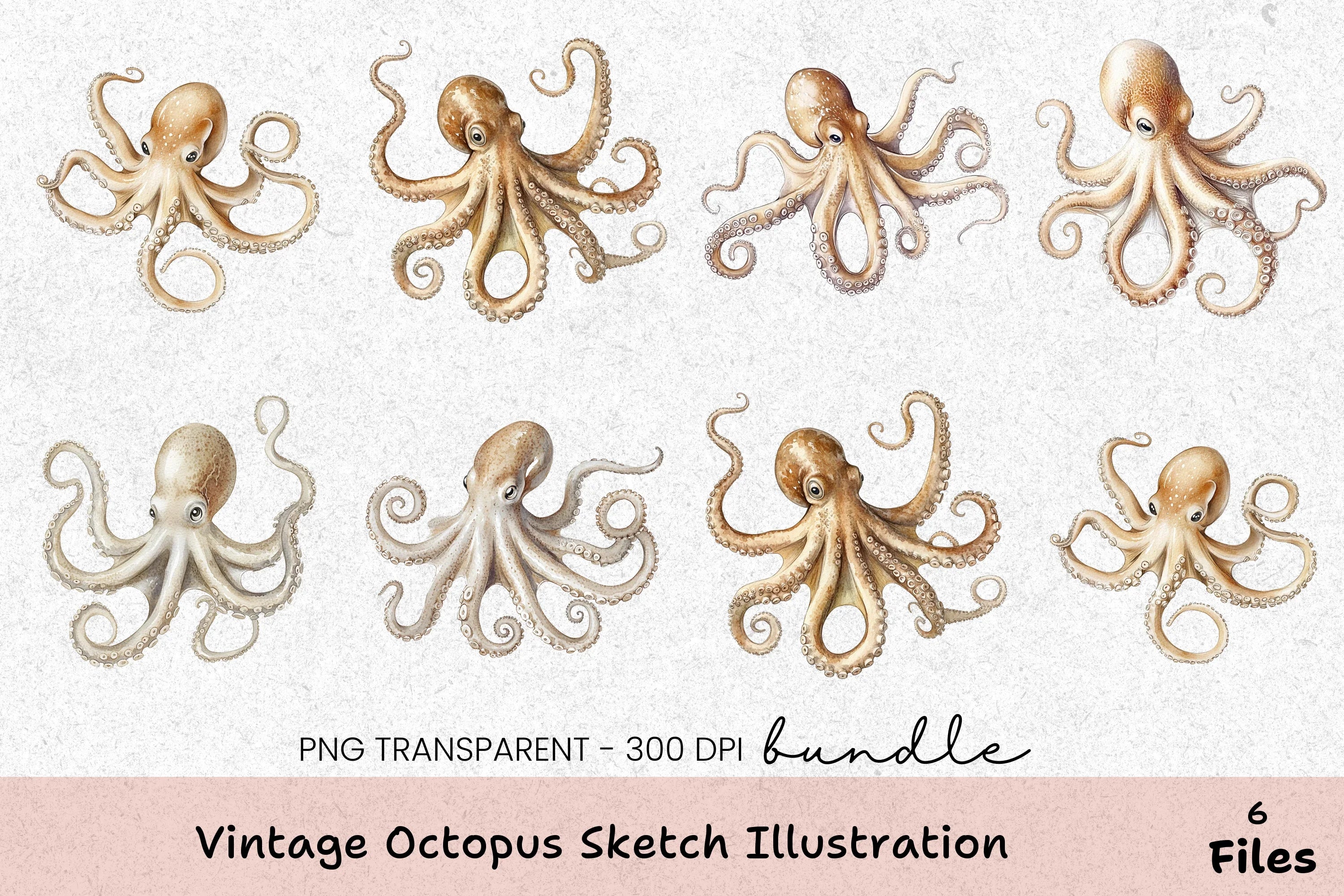Vintage Octopus Sketch Illustration Clipart Bundle - CraftNest - Digital Crafting and Art