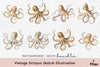 Vintage Octopus Sketch Illustration Clipart Bundle