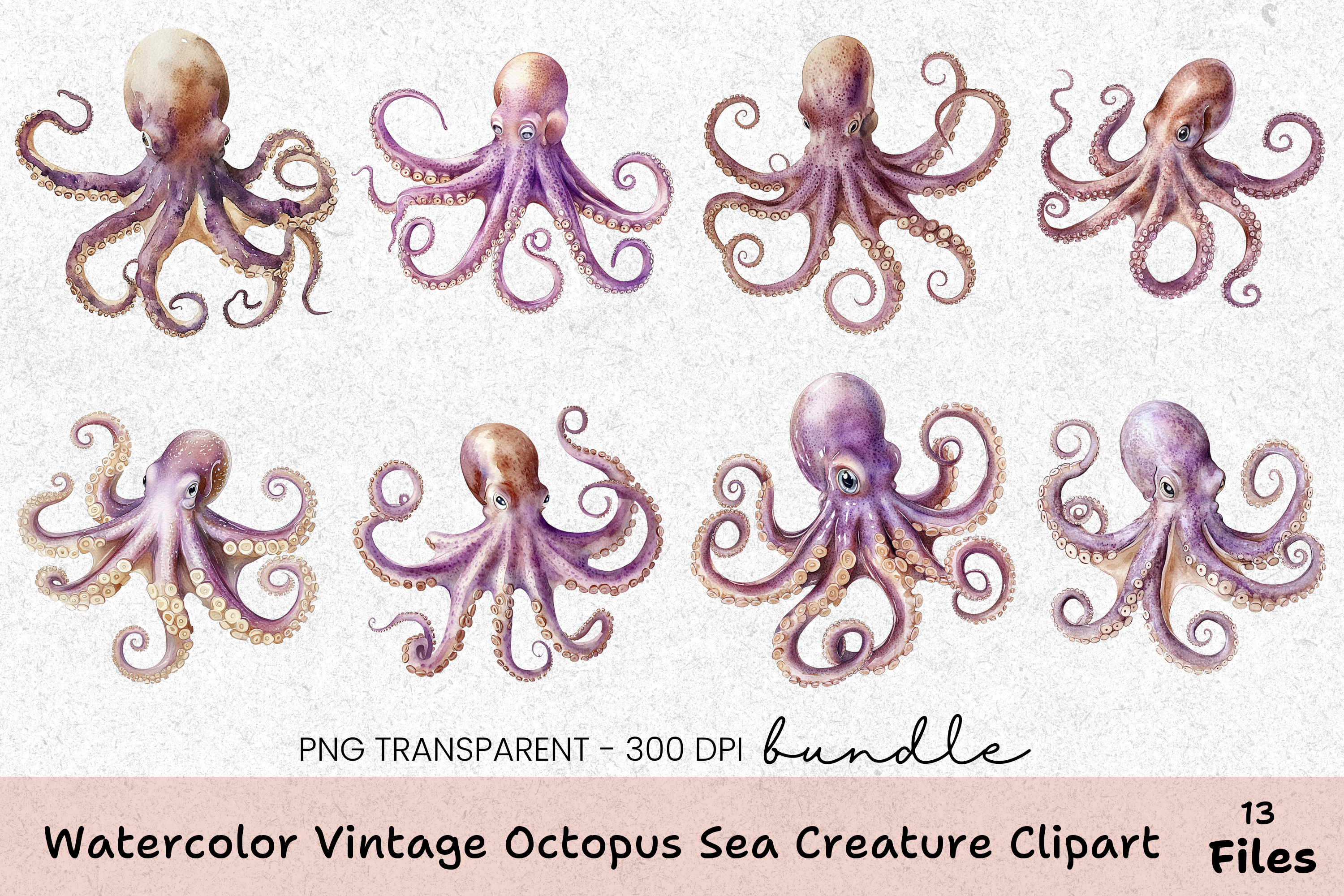Vintage Octopus Sea Creature Clipart Bundle