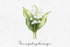 Lily of the Valley Clipart Bundle