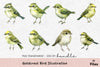 Goldcrest Bird Illustration Clipart Bundle