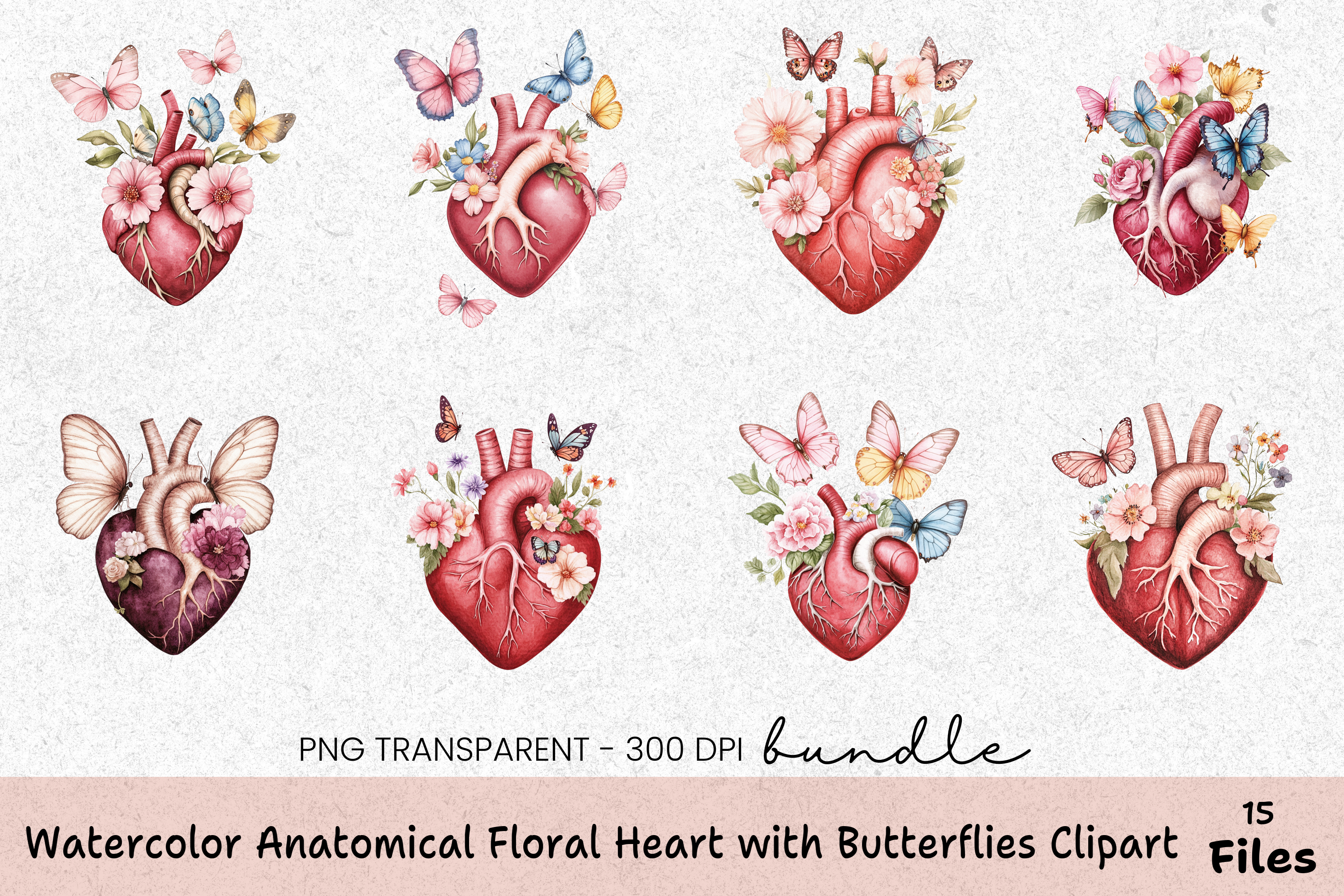 Anatomical Floral Heart with Butterflies Clipart Bundle