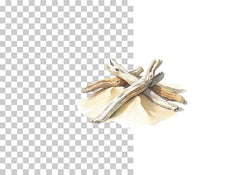 Driftwood Beach Sand Dunes Clipart Bundle - CraftNest - Digital Crafting and Art