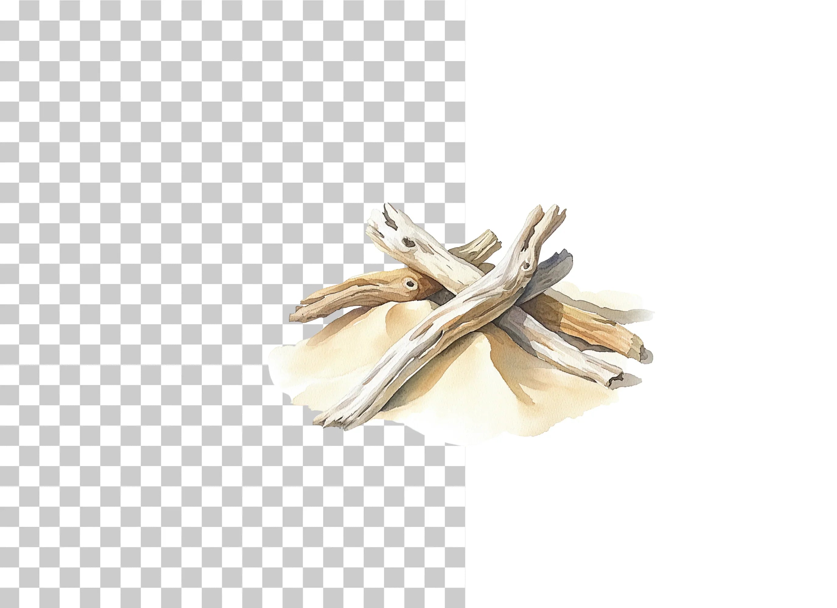 Driftwood Beach Sand Dunes Clipart Bundle - CraftNest - Digital Crafting and Art