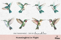 Hummingbird In Flight Clipart Bundle - CraftNest - Digital Crafting and Art